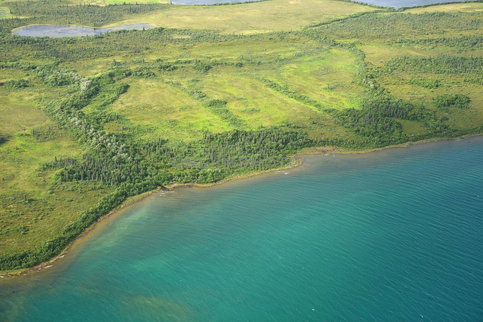 an aerial view of alaska wetland near king salmon