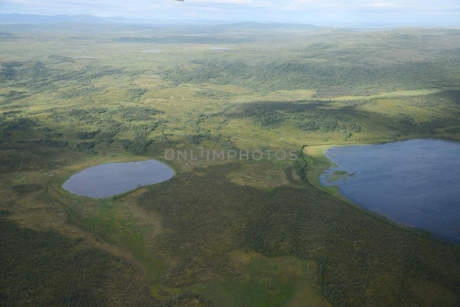 an aerial view of alaska wetland near king salmon