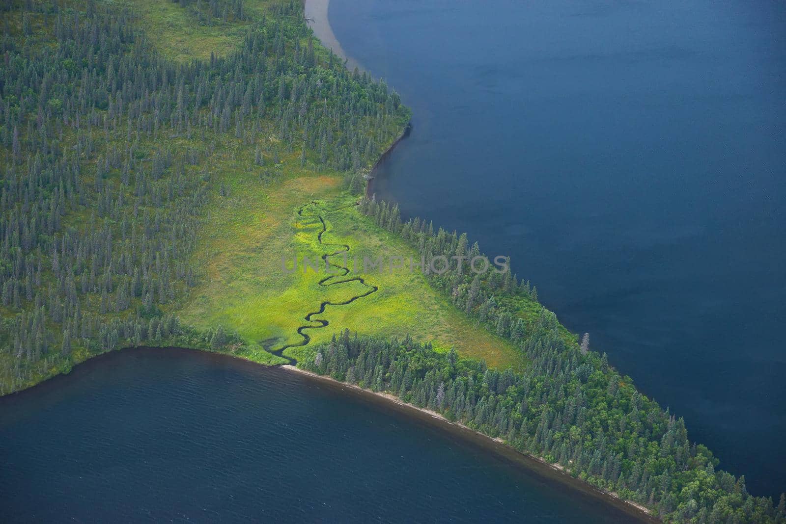 an aerial view of alaska wetland near king salmon