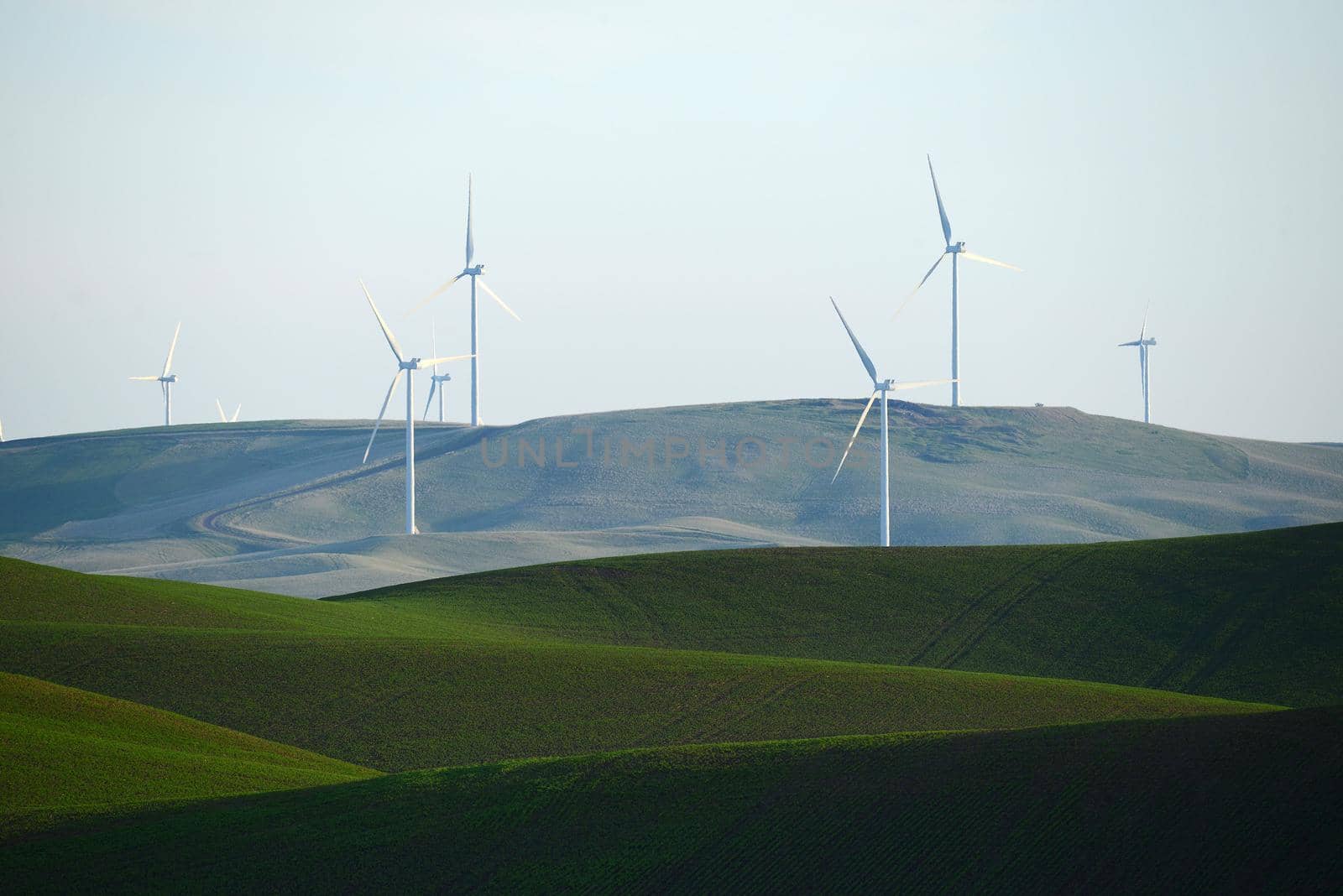 wind mill on green wheat farm hill in palouse, washington