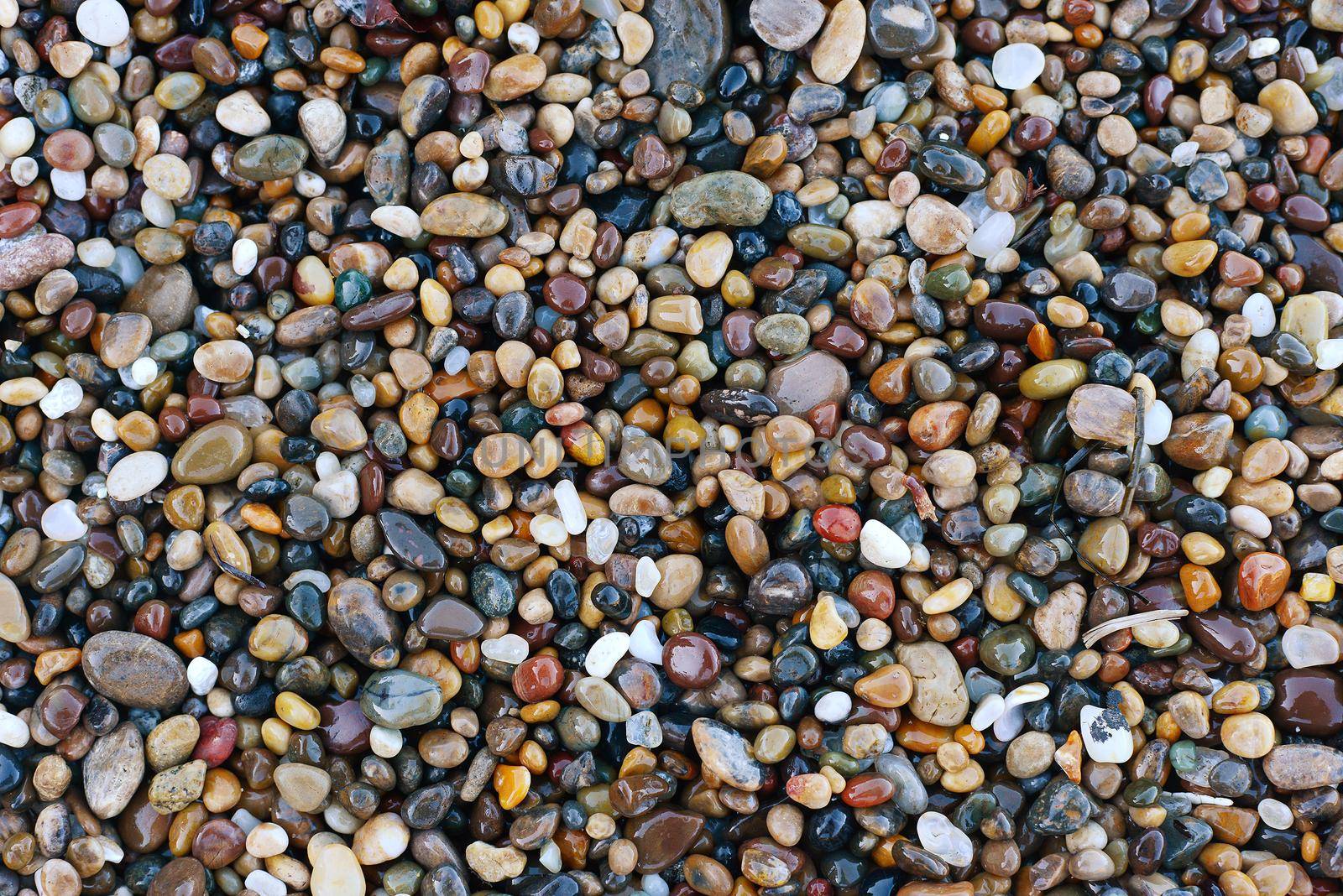 pebble rocks from bean hollow state beach in california