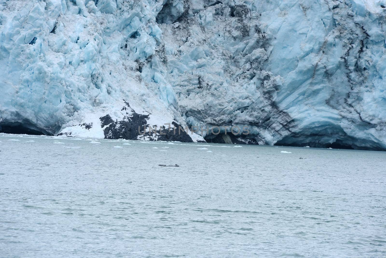 tidewater glacier by porbital