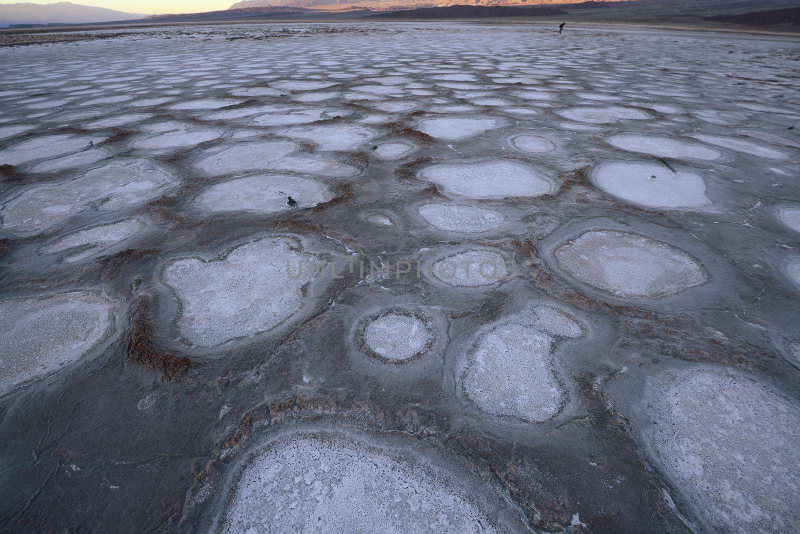 dried mud pattern at a salt flat basin at death valley national park