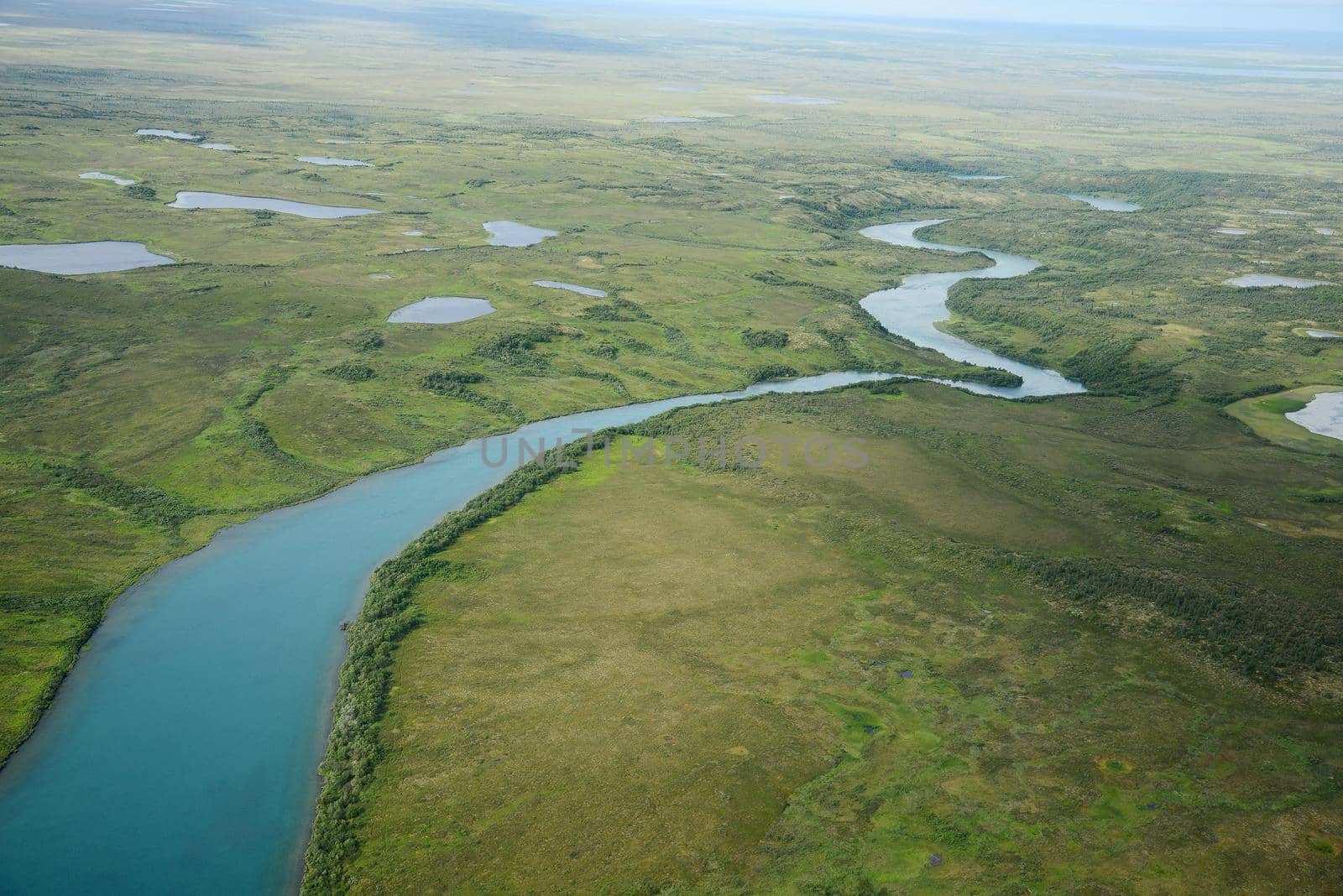 an aerial view of alaska wetland near king salmon