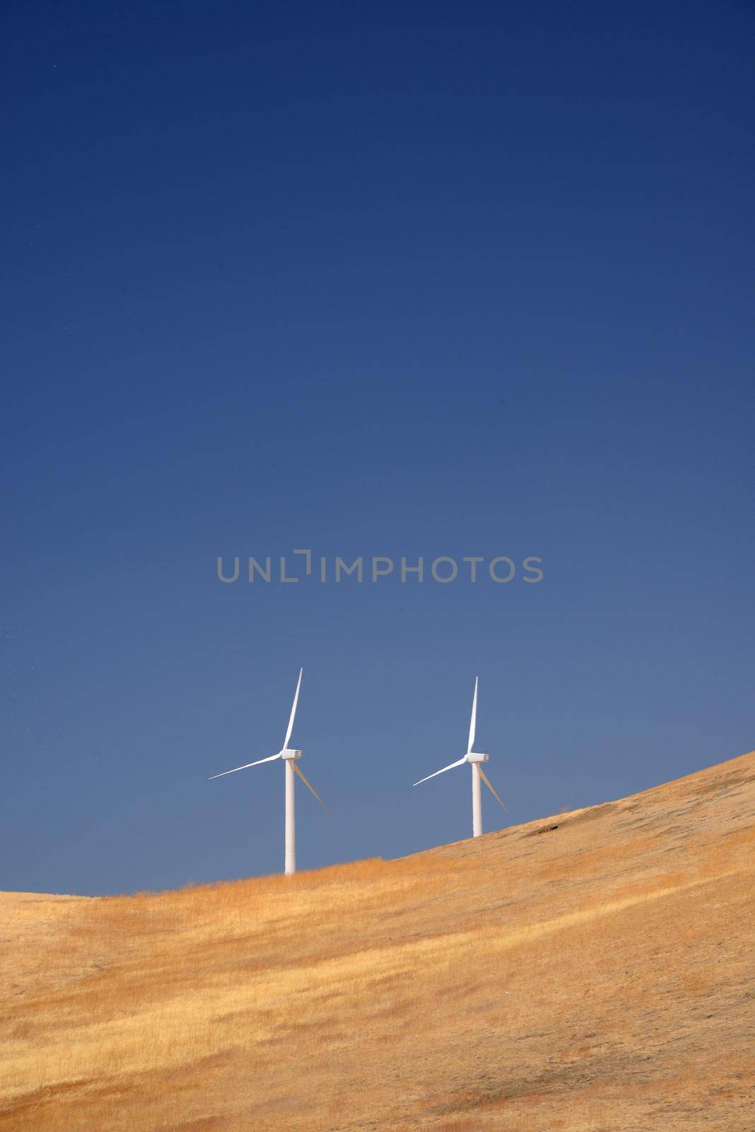 wind power turbine on golden grass hills