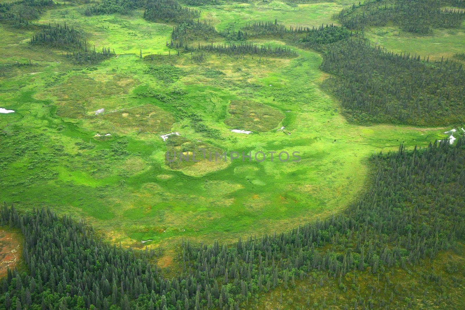 an aerial view of alaska wetland in katmai national park near king salmon