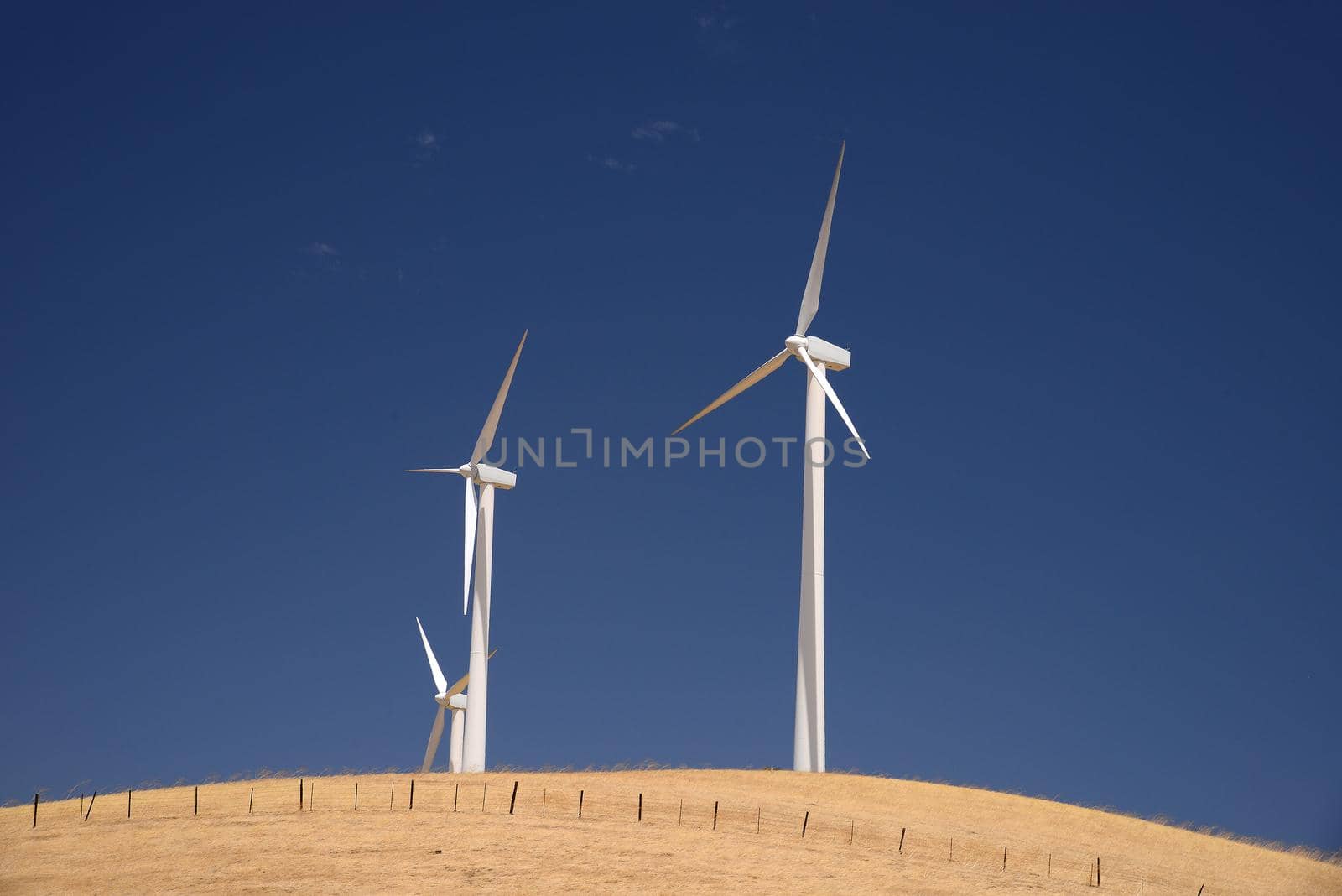 wind power turbine on golden grass hills