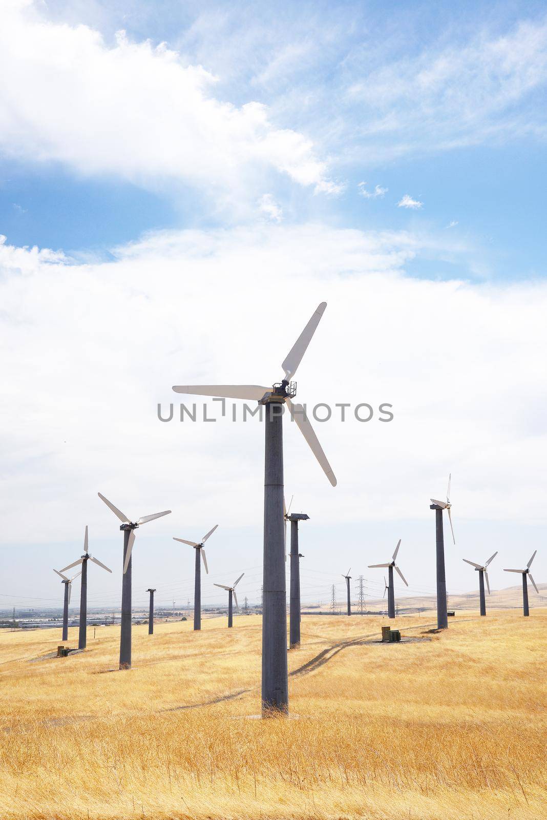 wind power turbine on golden grass hills