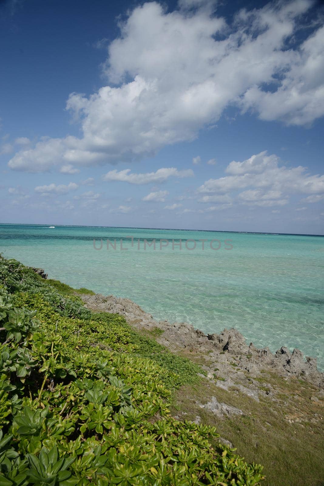 Okinawa Crystal Sea by porbital