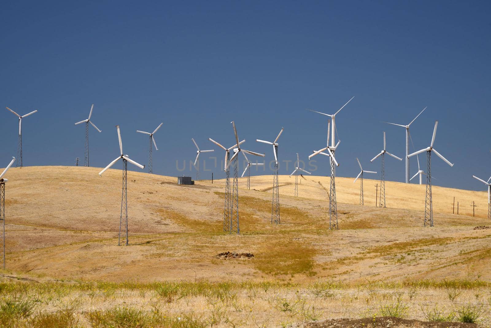 wind power turbine on golden grass hills