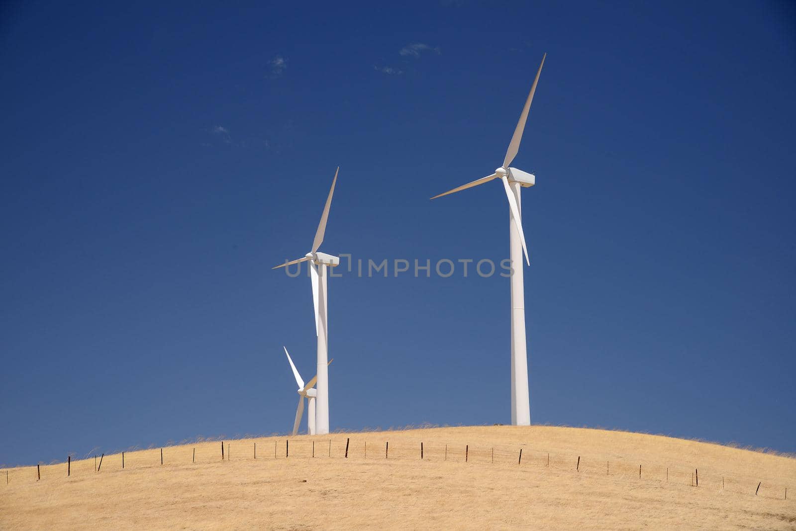 wind power turbine on golden grass hills