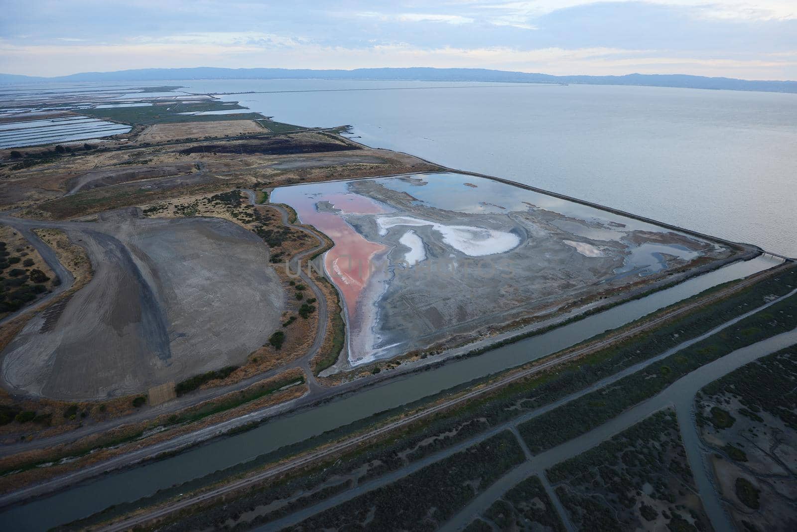 wet swamp near oakland