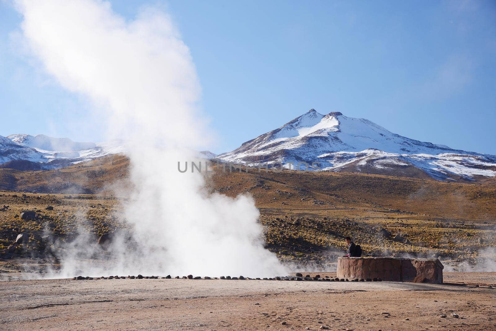 hot vapor plume from El Tatio geyser in northern chile