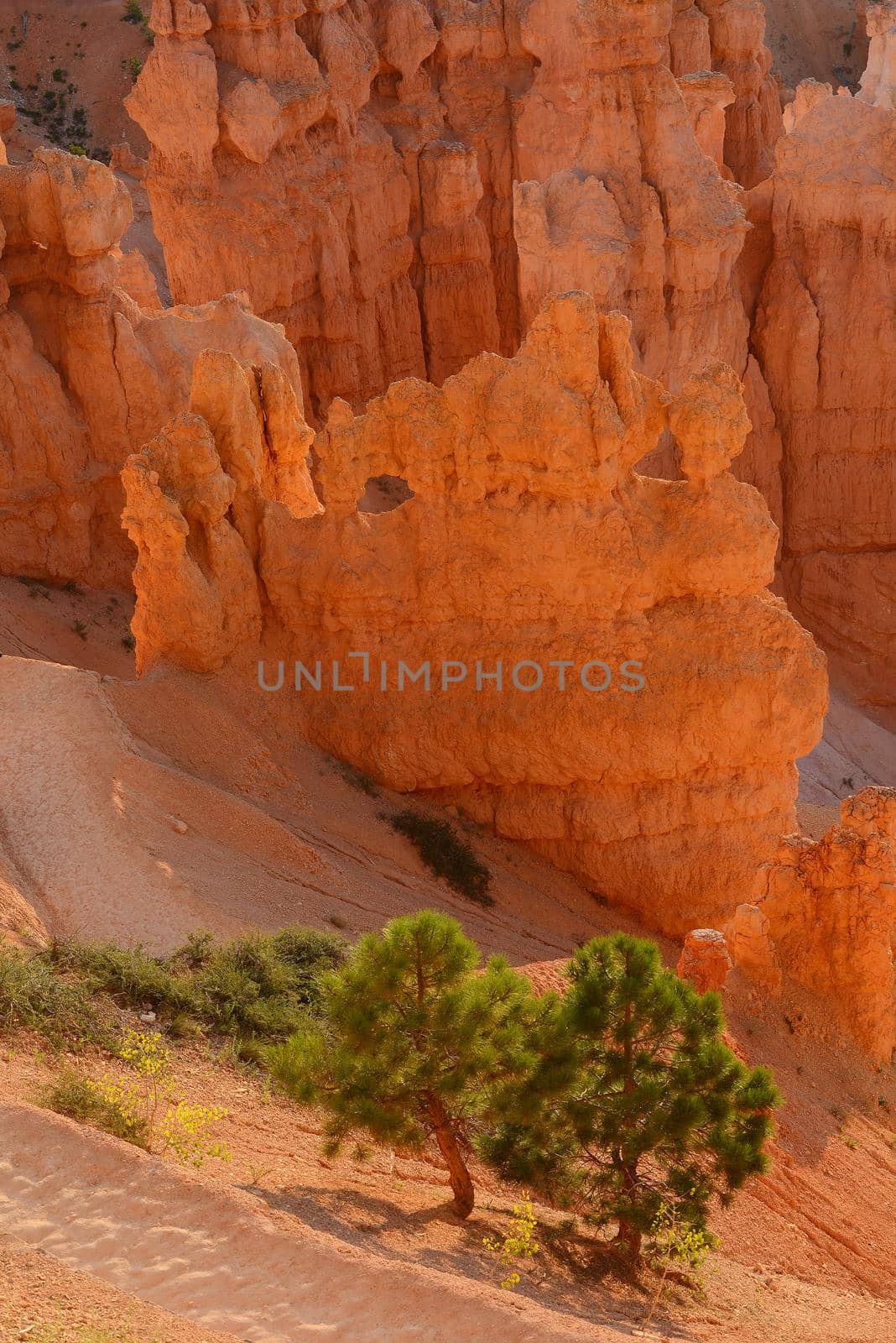 bryce canyon by porbital