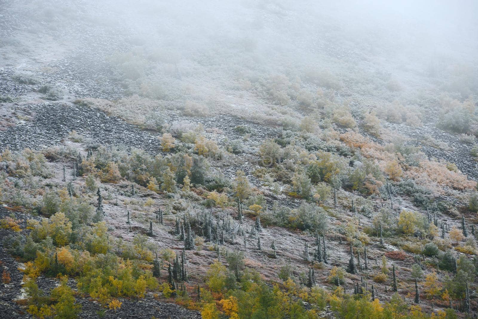 snow in alaska by porbital