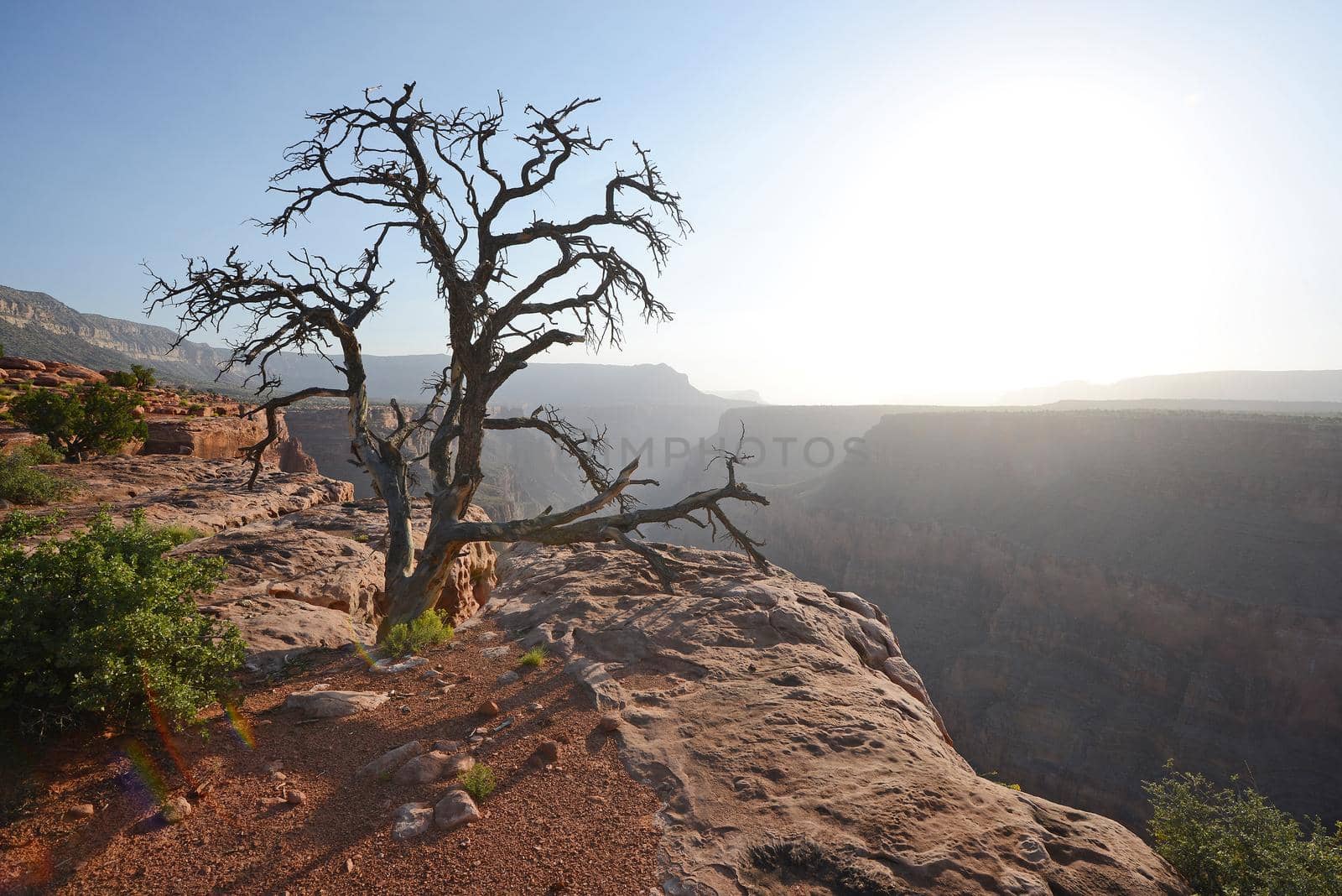 toroweap overlook in arizona