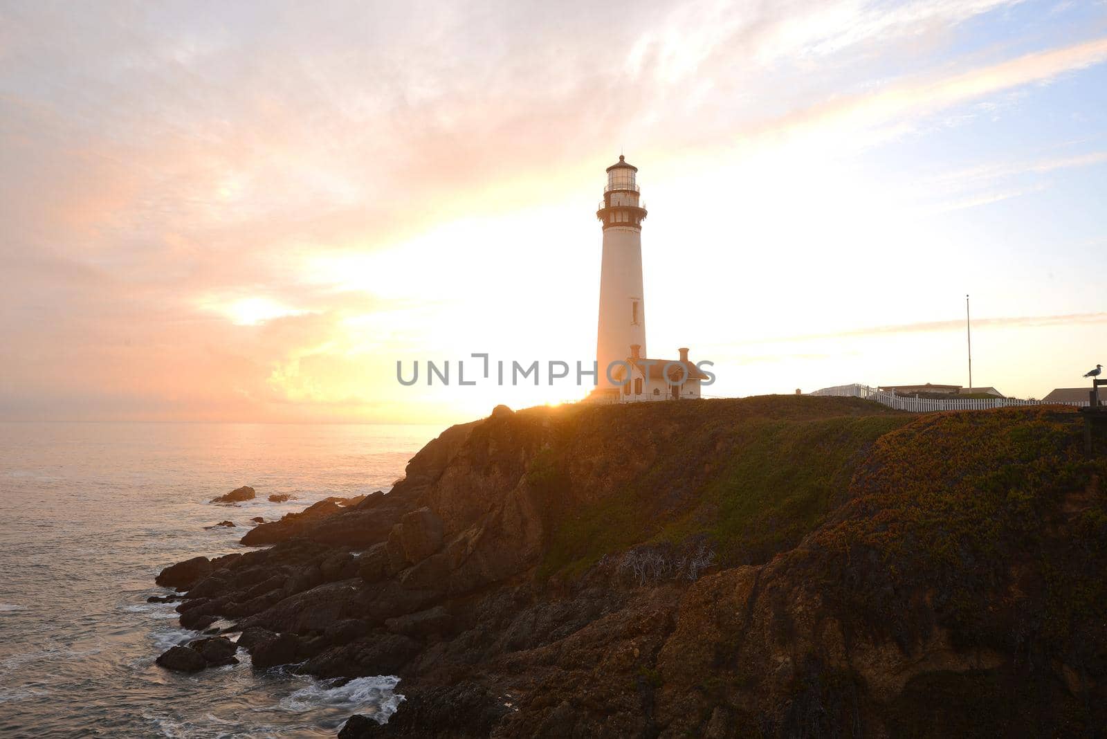 Pigeon Point Lighthouse at sunset