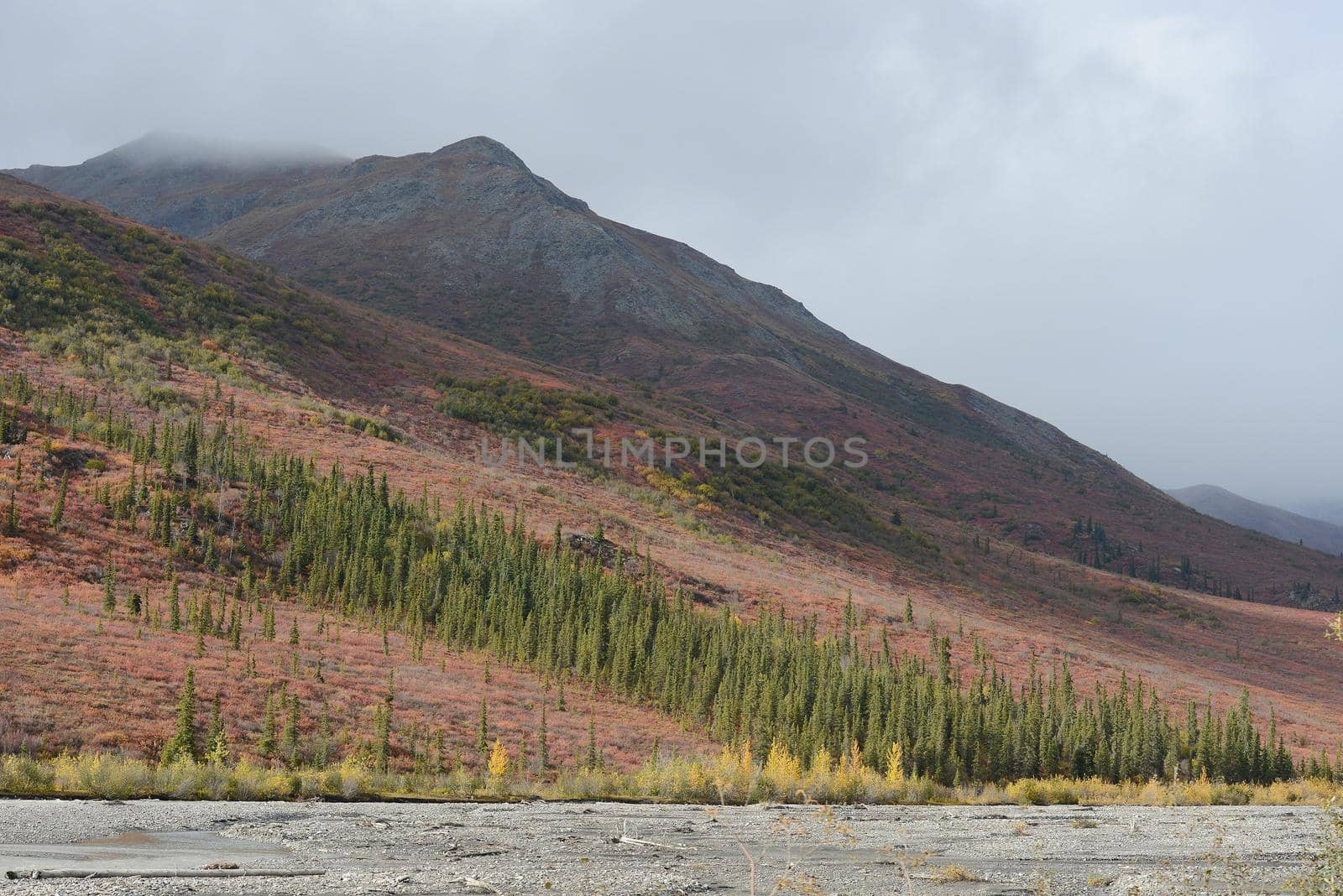 alaskan tundra in autumn