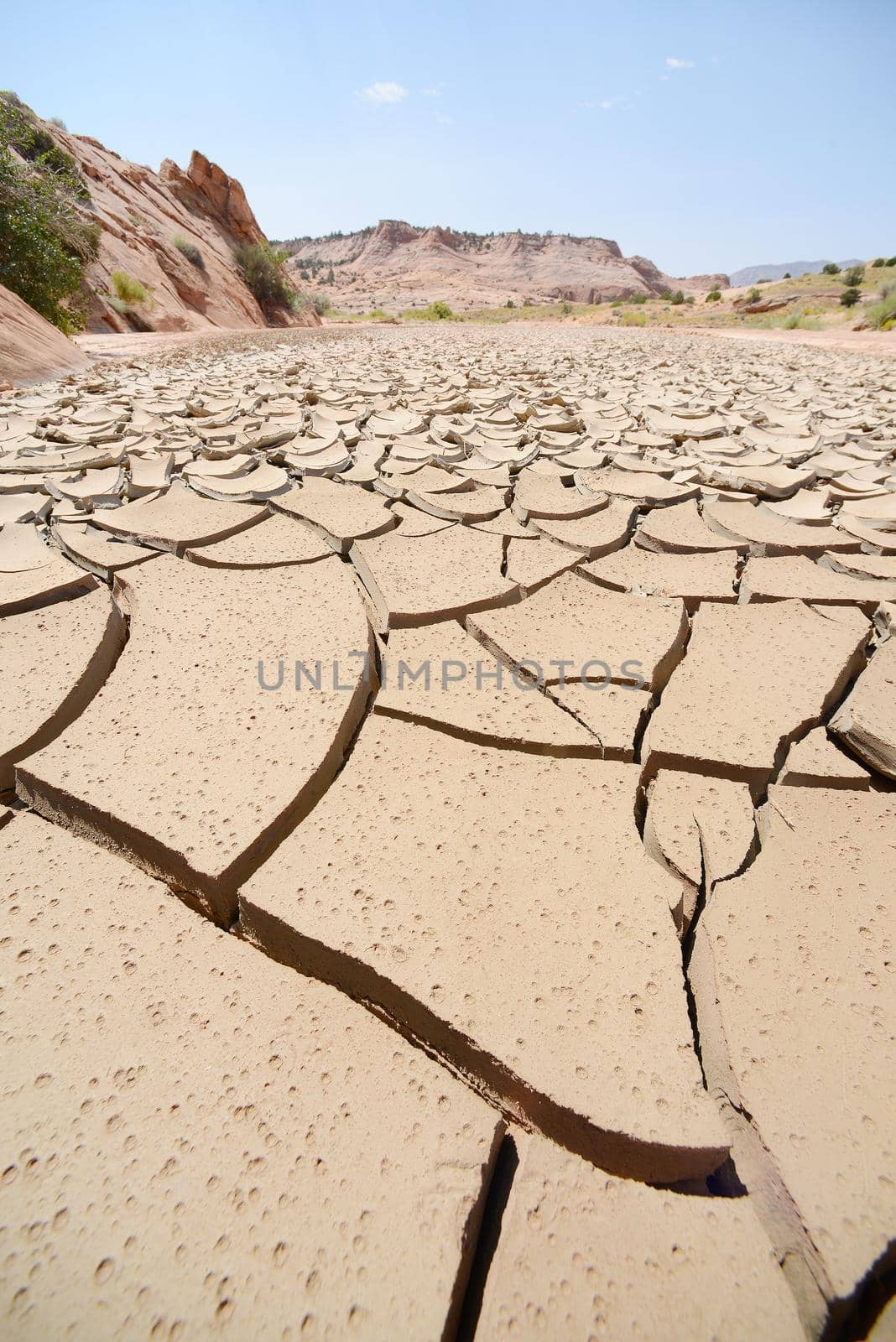dried mud crack in desert