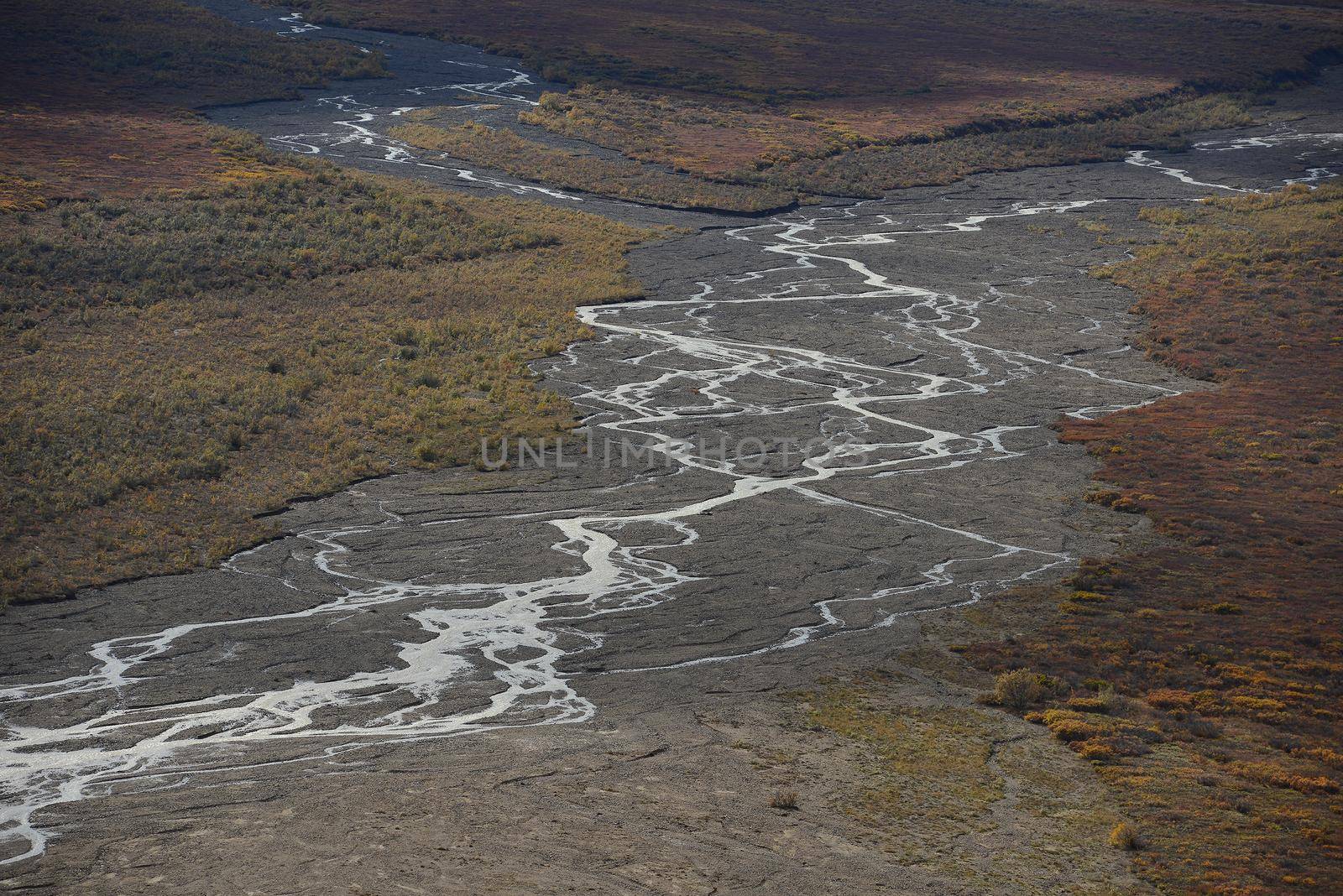 river delta in denali national park alaska