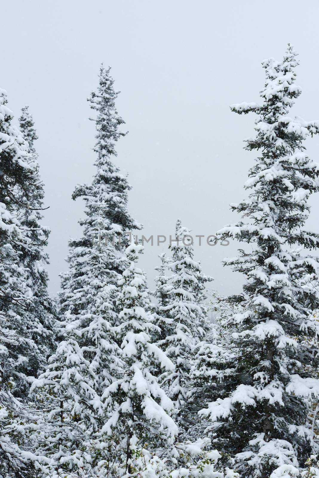 snow in alaska by porbital