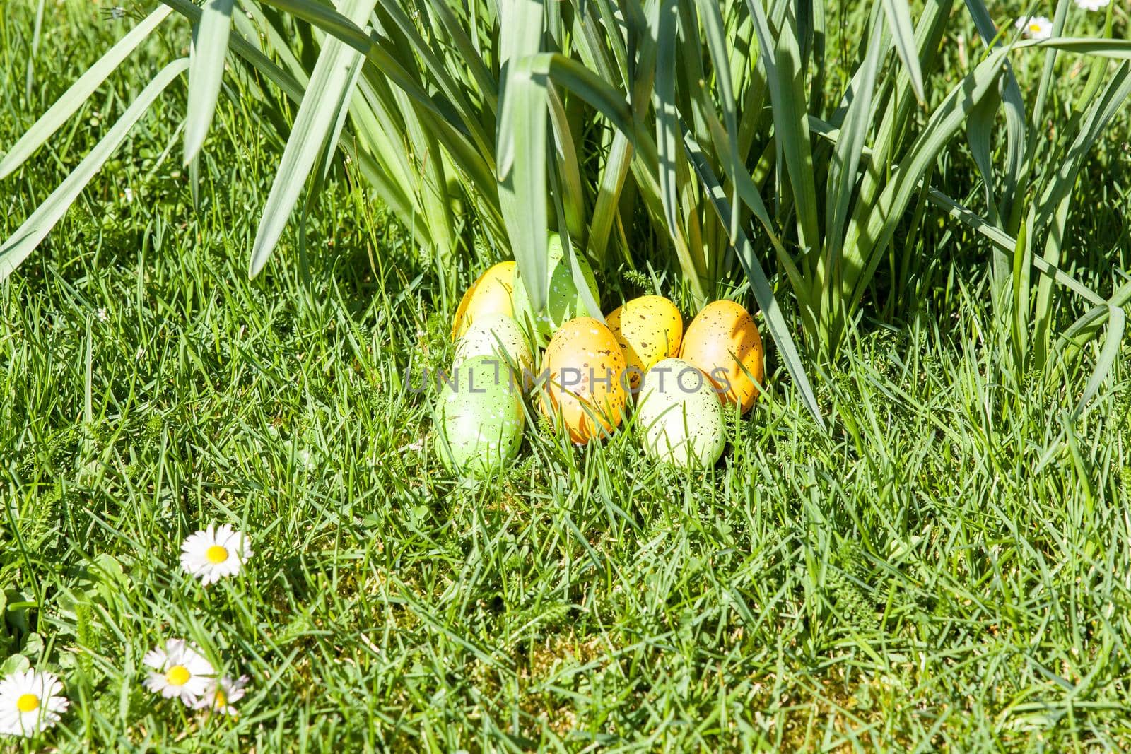 colored Easter eggs hidden in flowers and grass