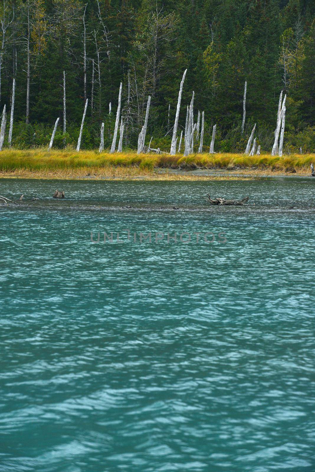 lake in alaska with turquoise color