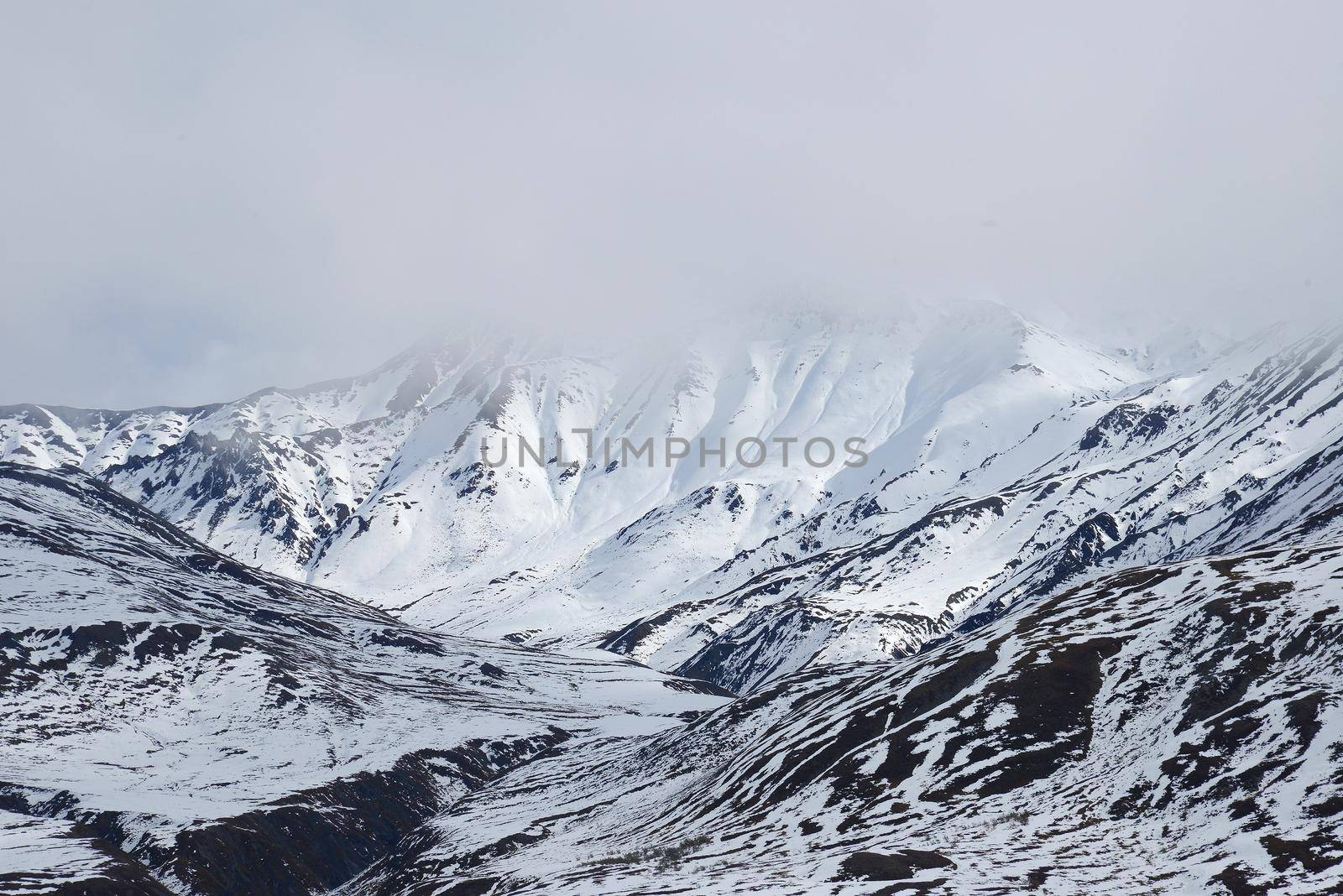 snow mountain landscape in denali national park