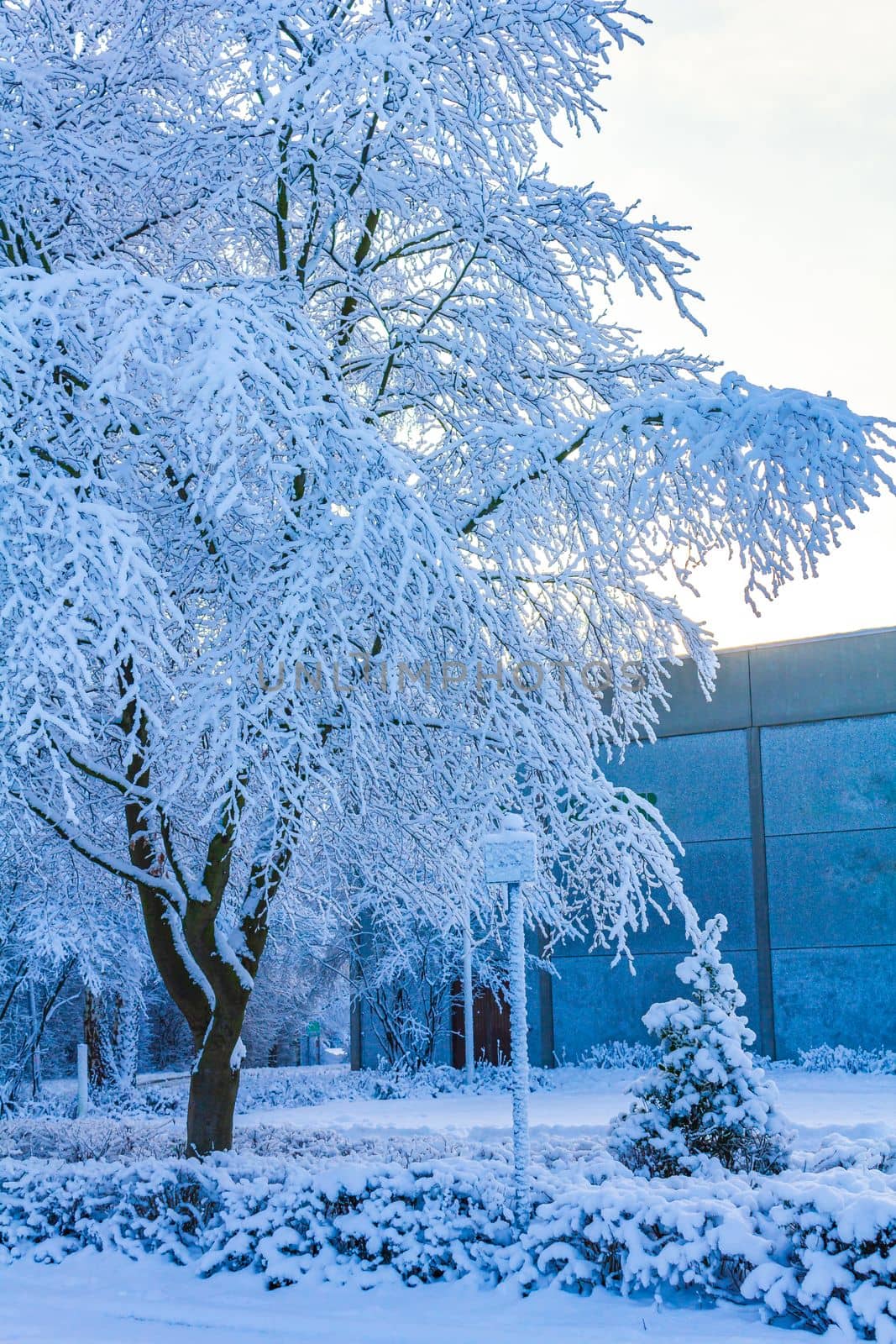 Snowy winter snow and ice landscape panorama view Bremerhaven Germany. by Arkadij