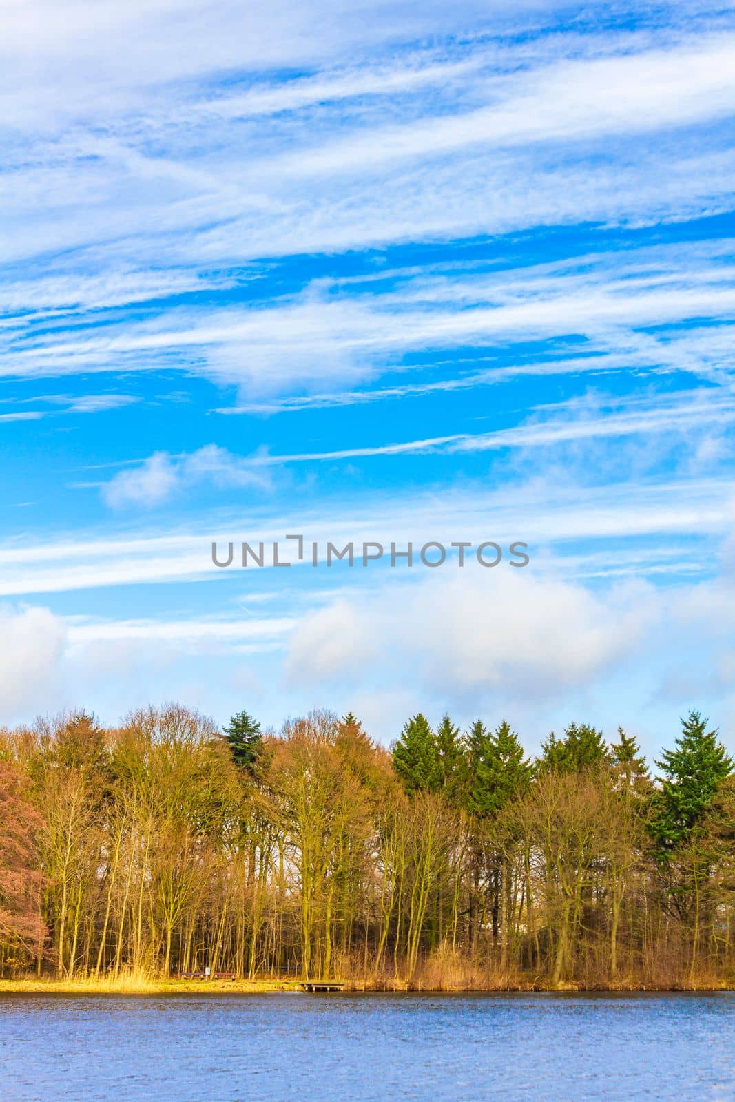 Natural panorama view lake pathway green plants trees forest Germany. by Arkadij