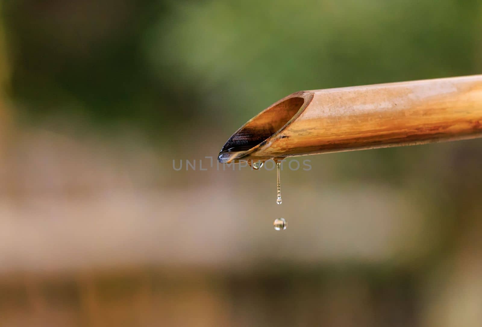 Closeup water drops falling from traditional bamboo pipe by Osaze