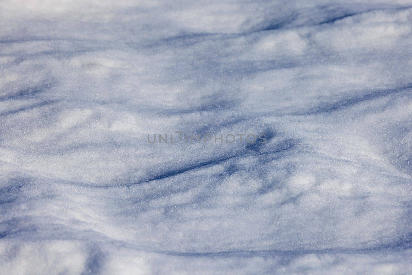 Fresh fallen snow dunes on sunny day. High quality photo