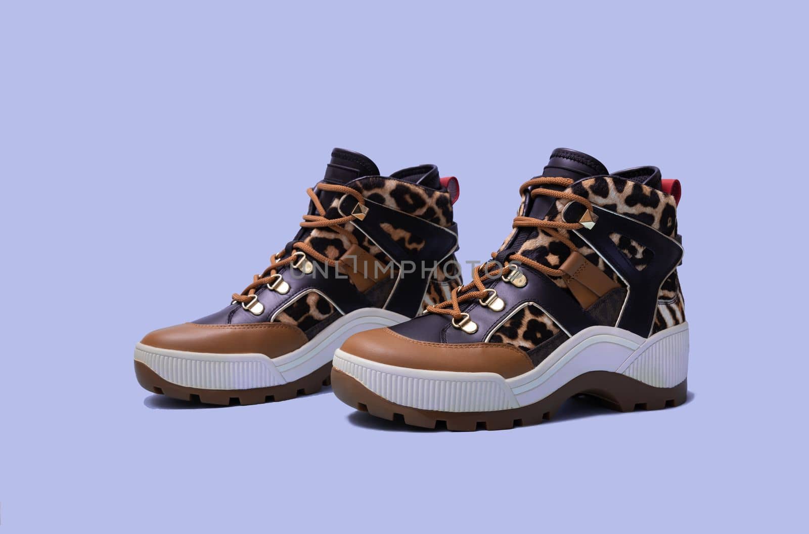 Women shoes brown leopard print on blue background. Stylish trendy autumn winter female boots. shopping concept. Close up. by Ri6ka