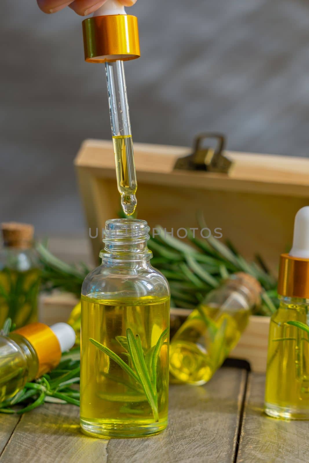 rosemary essential oils for skin treatment by joseantona