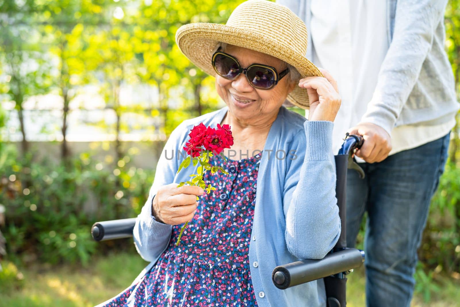 Caregiver daughter hug and help Asian senior or elderly old lady woman holding red rose on wheelchair in park.