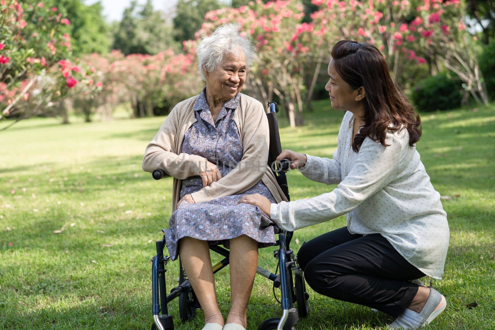 Caregiver help and care Asian senior or elderly old lady woman patient sitting on wheelchair in park, healthy strong medical concept.