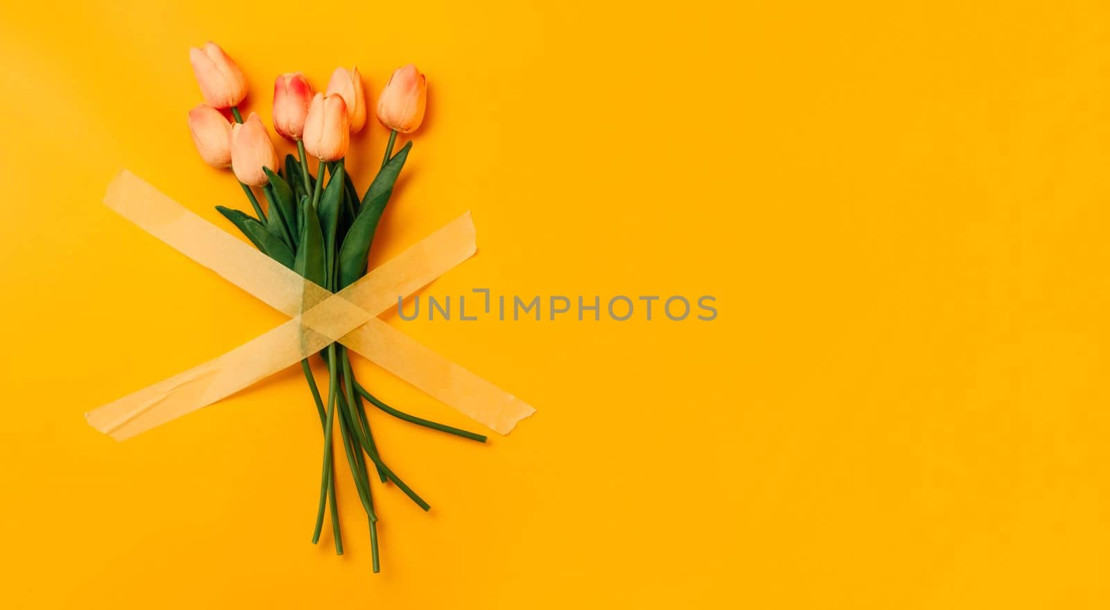 Pink tulips flowers sticked up crosswise with masking tape isolated on yellow background with copy space. Concept of necessity to care and save nature, global enviroment damages made by people