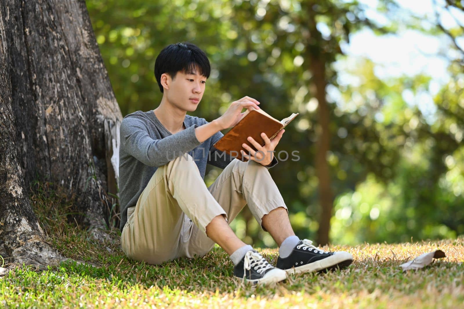 Peaceful young asian man student reading a book in the park, preparing for exams at the university or college.
