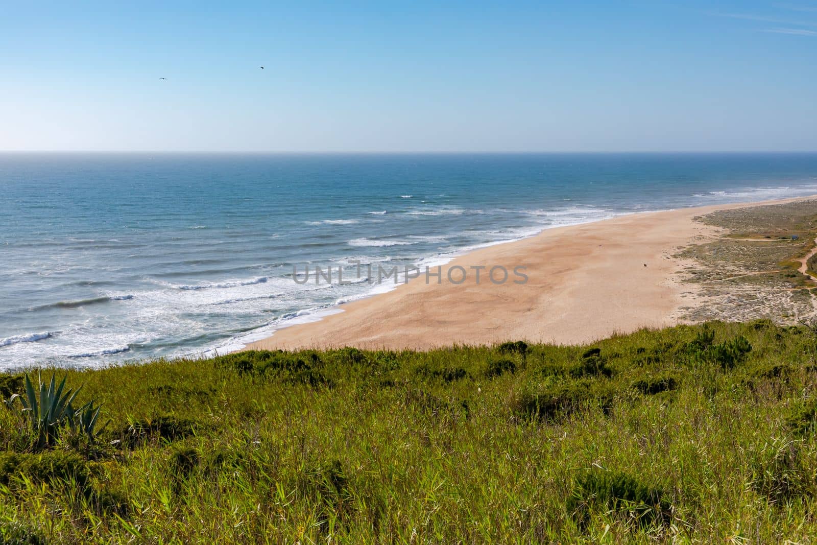Praia do Norte beach in Nazare is a surf spot north of Lisbon, Portugal, known for its high waves