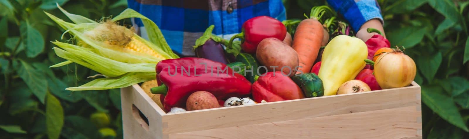 Child and vegetables. Selective focus feram