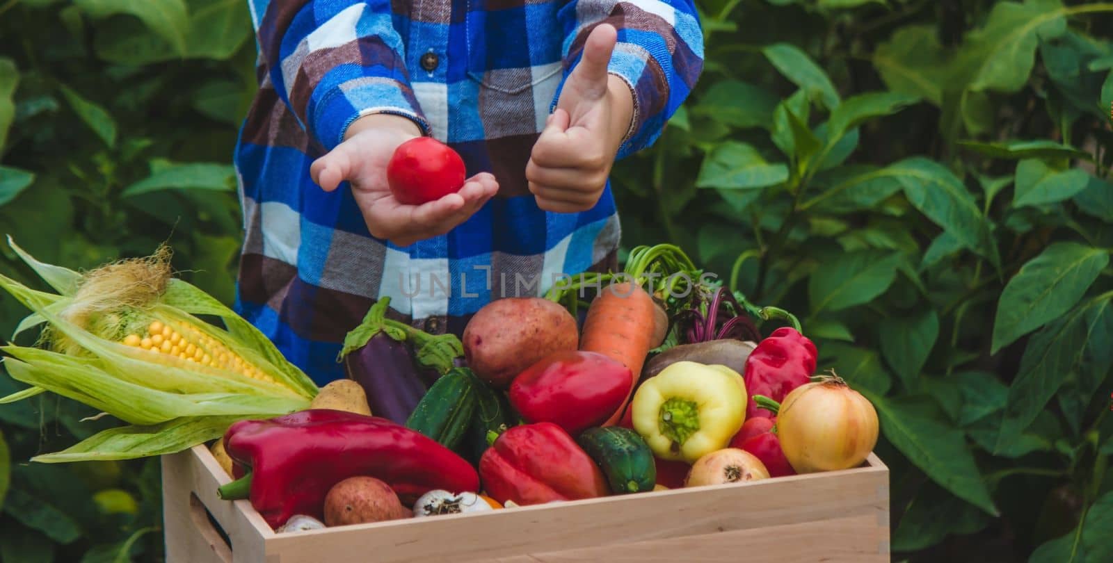 Child and vegetables. Selective focus feram