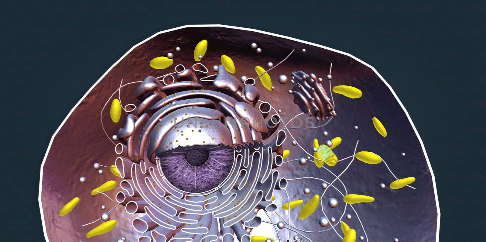 Vasoconstriction is the narrowing of blood vessels by small muscles in their walls. 3d illustration