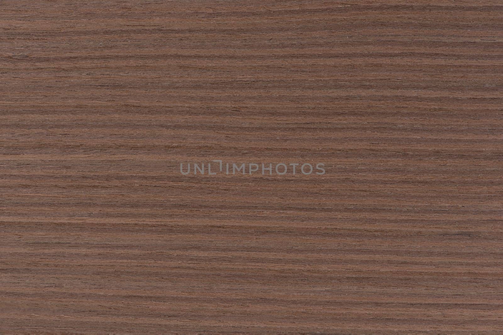 Dark brown walnut wood texture, natural wood pattern for making furniture, parquet or doors. Top view of natural veneer