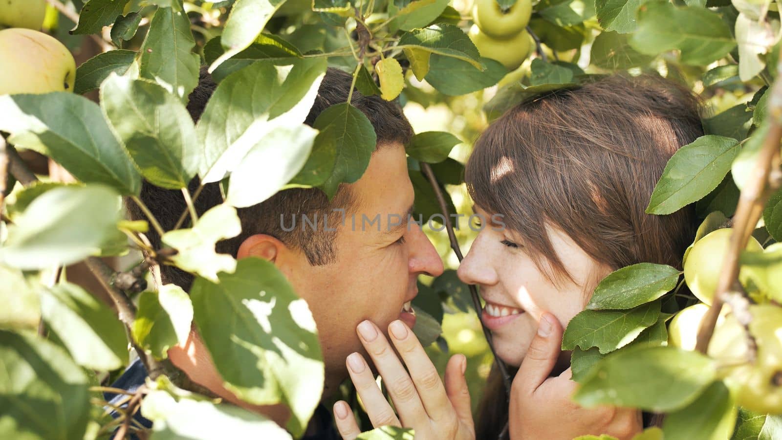 A boy and a girl in love in the branches of an apple tree hugging each other. by DovidPro