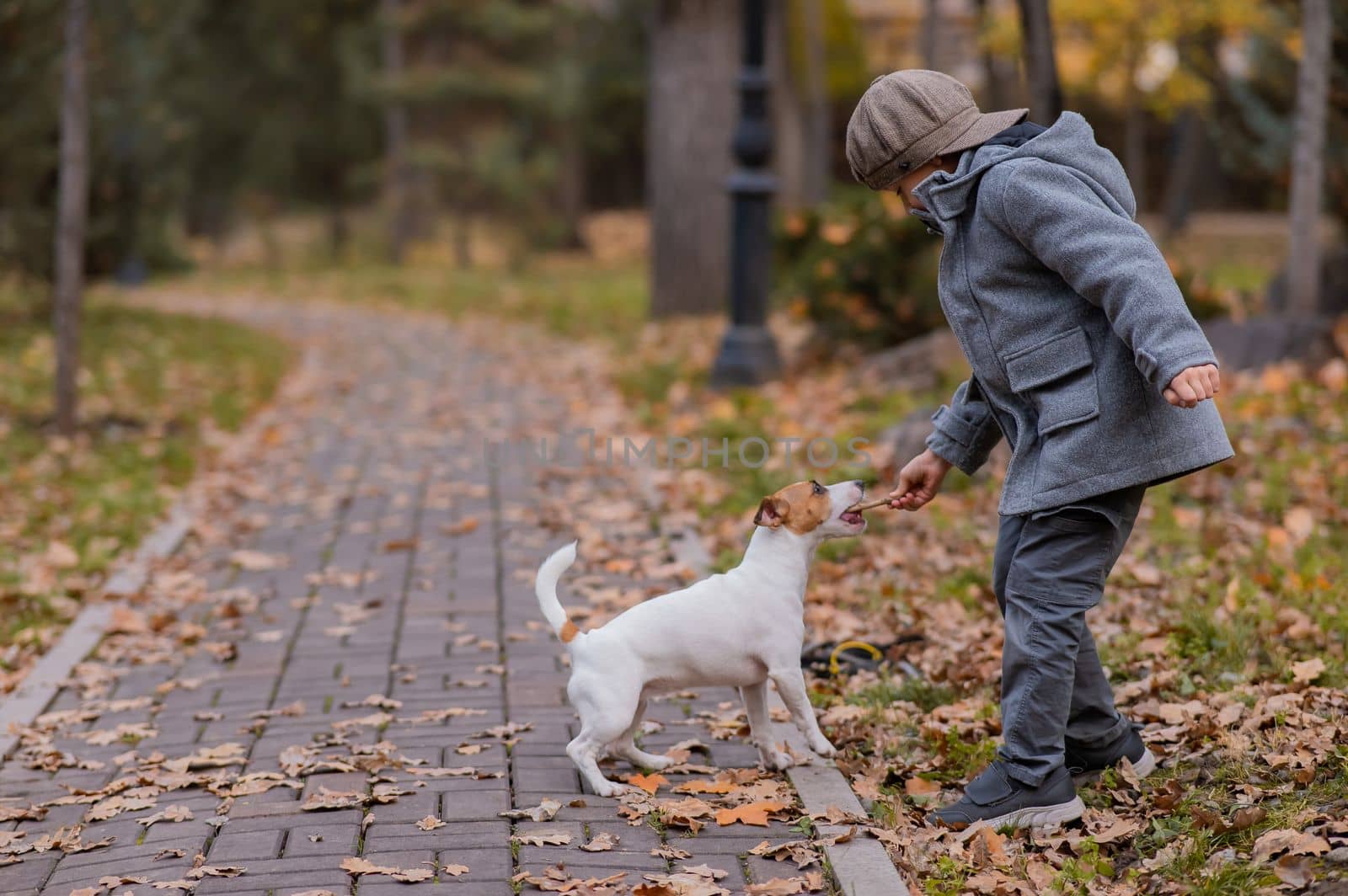 Caucasian boy playing with a dog for a walk in the autumn park