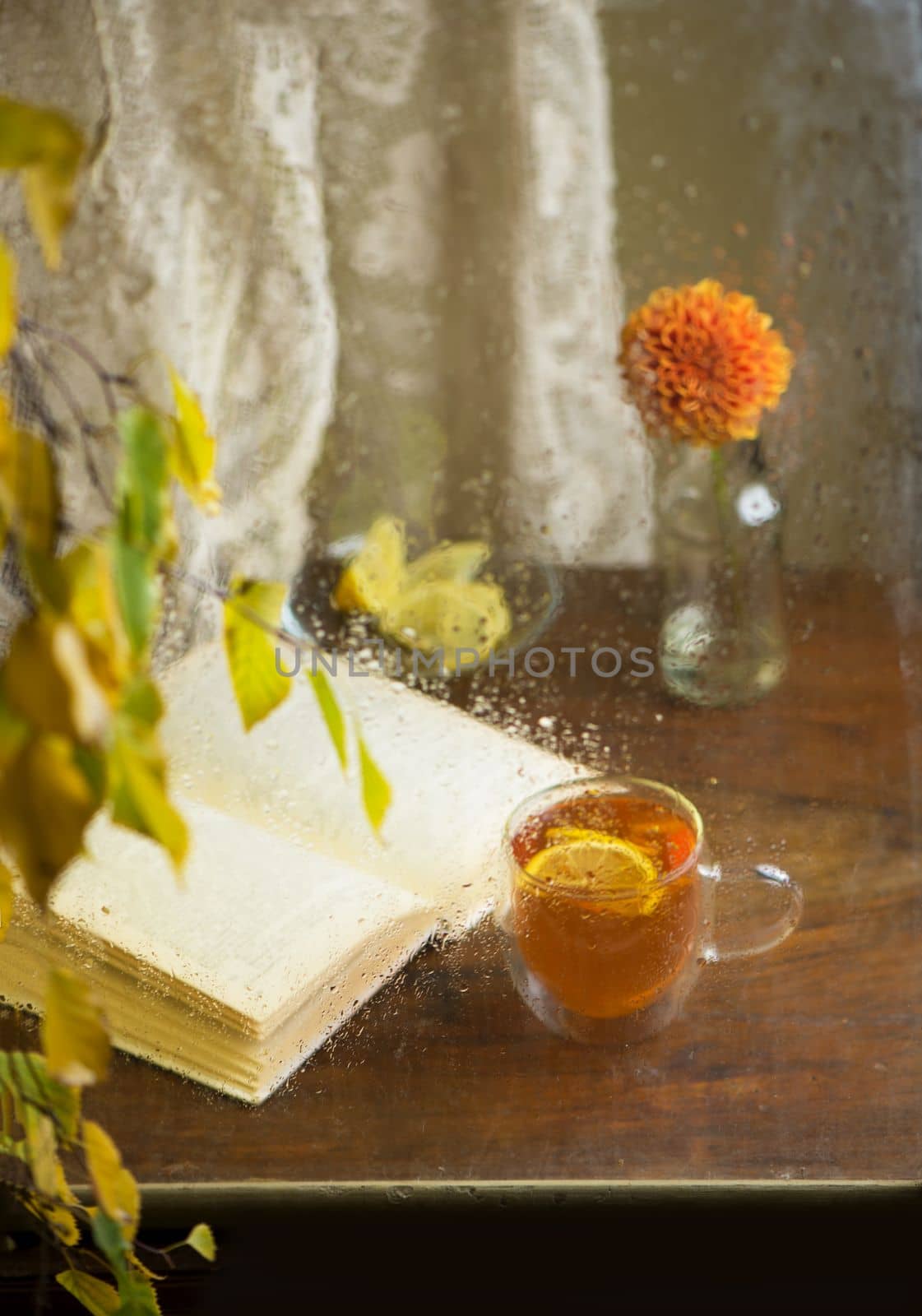 Autumn form. Yellowed birch branches through a wet rainy window. Book and tea with lemon. Home comfort in bad weather by aprilphoto