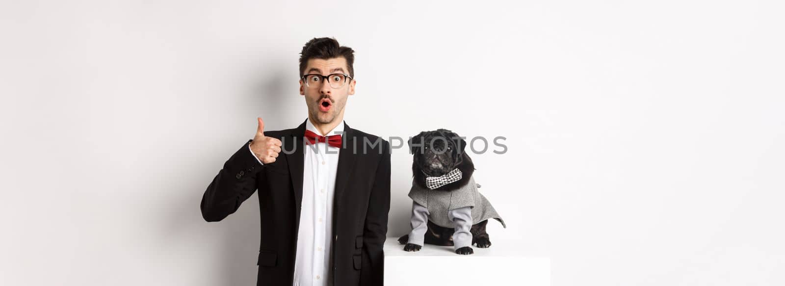 Animals, party and celebration concept. Handsome young man in suit and cute black pug in costume staring at camera, owner showing thumb up in approval and praise, white background.