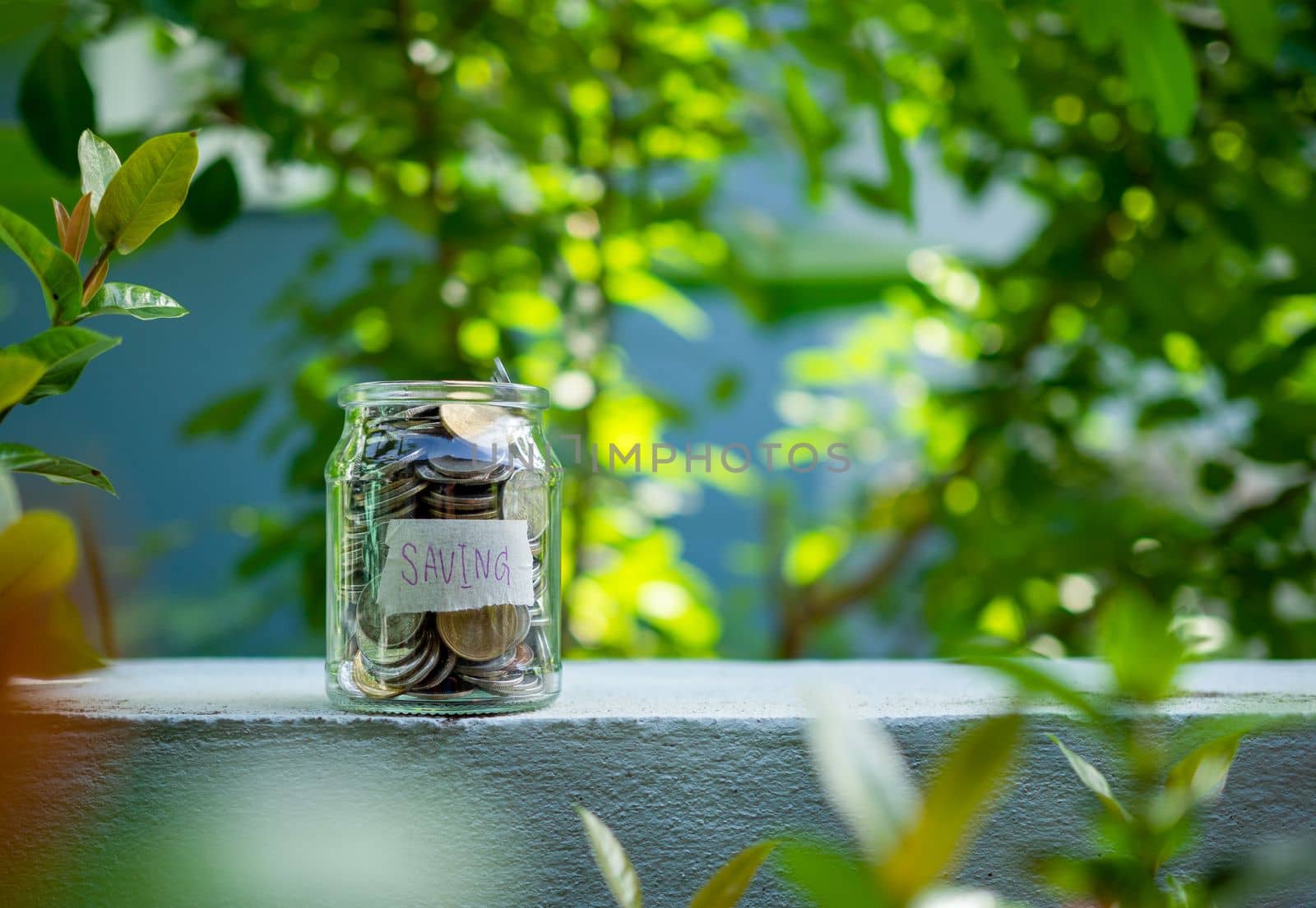 Coins in glass bottles on nature background. The concept of savings and investment. by Unimages2527