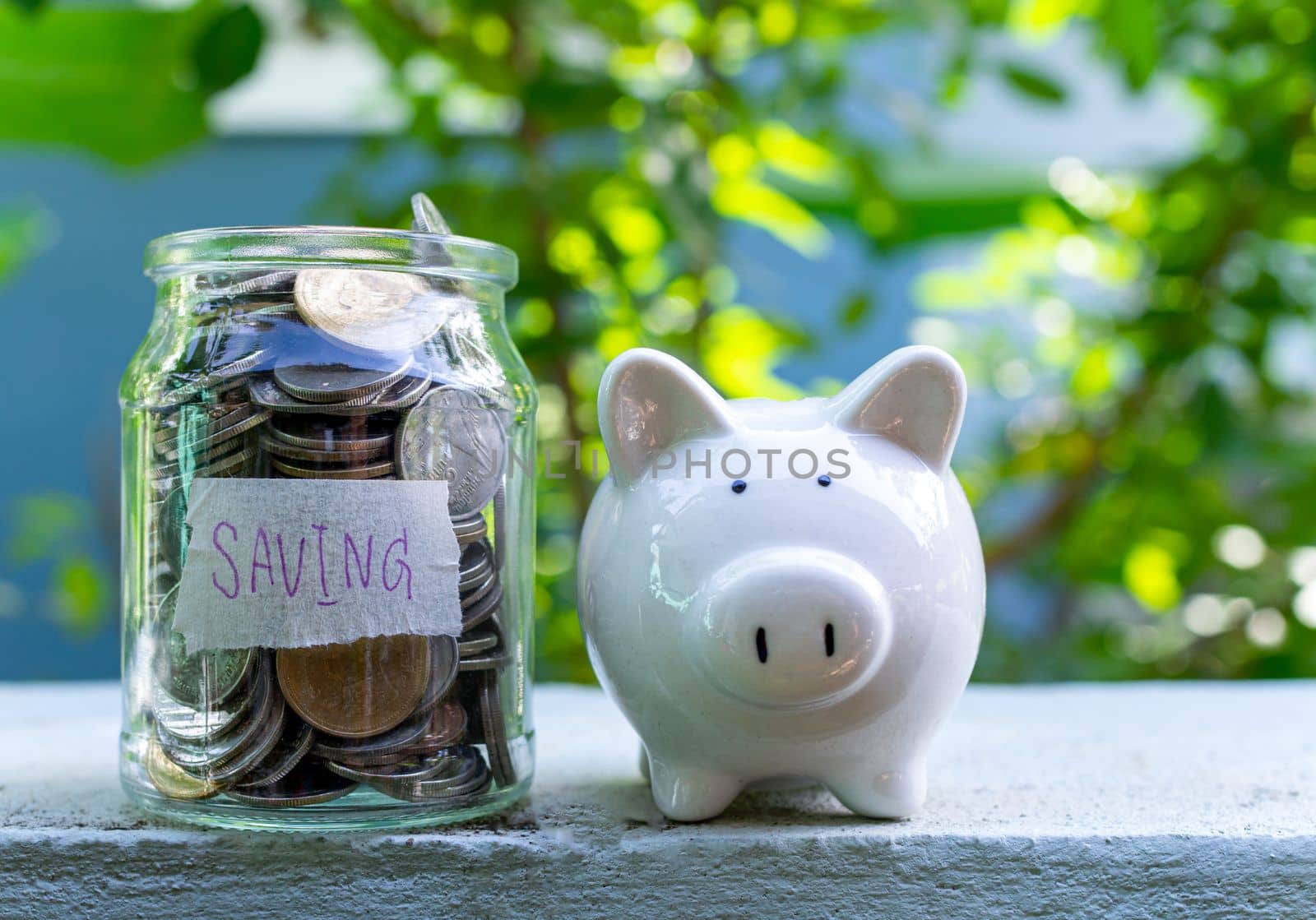 Piggy bank bottle with saving sign on natural bokeh background