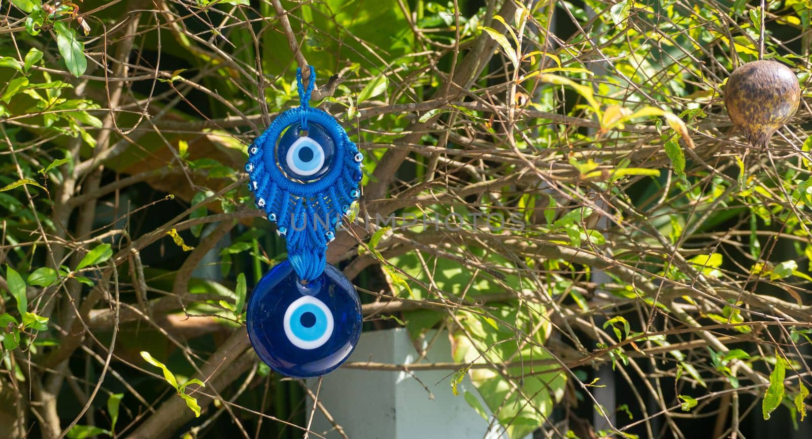 Close up of evil eye charms hang from a tree.